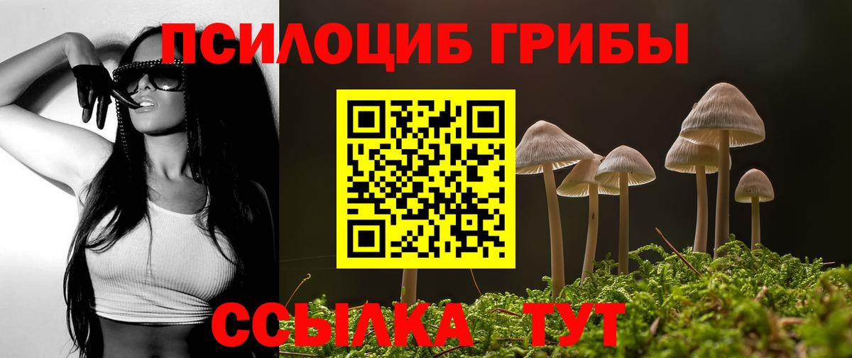 Галлюциногенные грибы прущие грибы Первоуральск